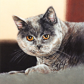 Katze014a