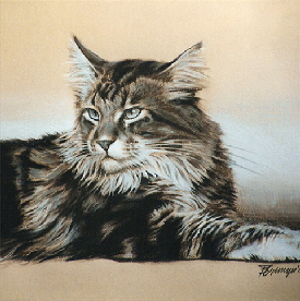 Katze03a1