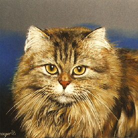 Katze07a3