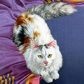 Katze09a1